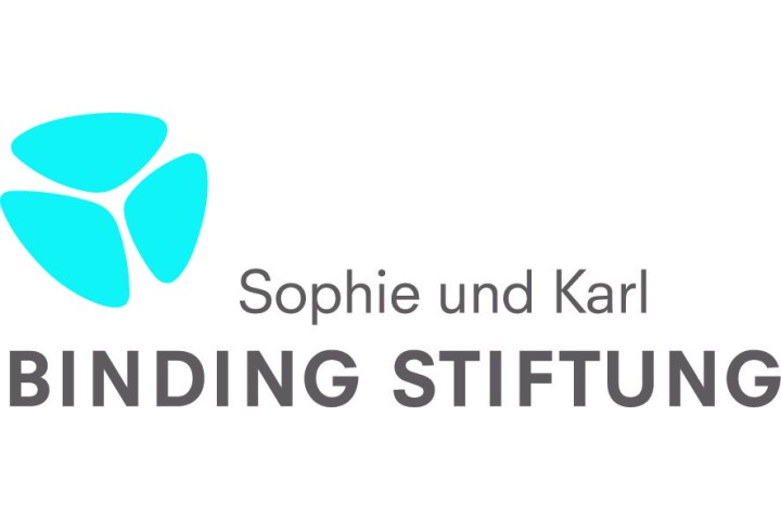 BindingStiftung Logo CMYK