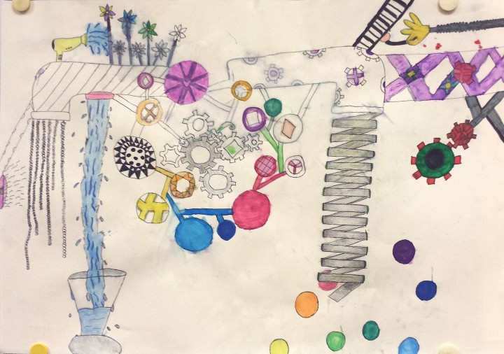 20180524 082923 crop