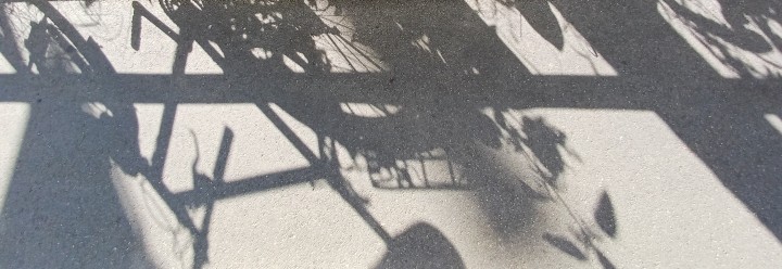 20240514 090431 crop