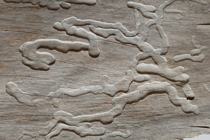 20240514 101523 crop