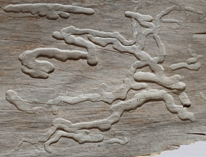 20240514 101523 crop