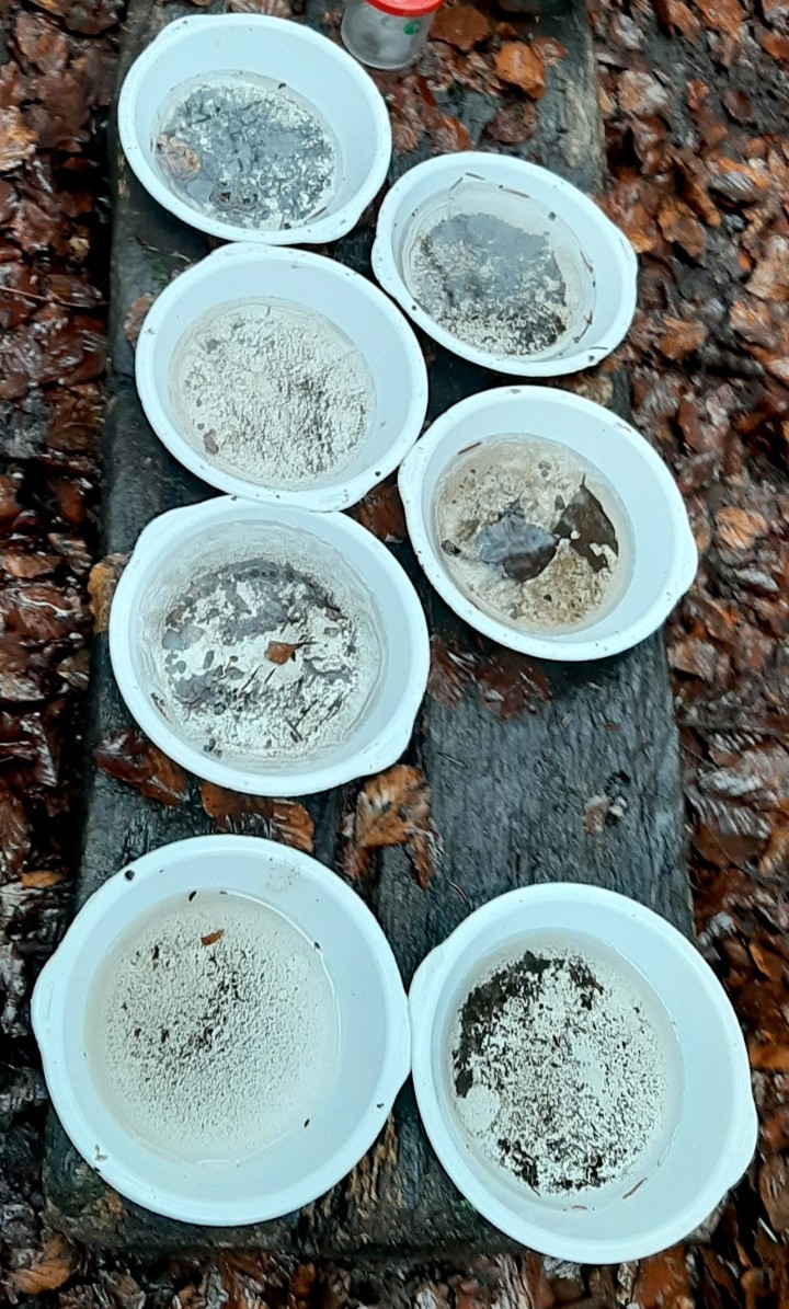 20221223 103117 crop ed