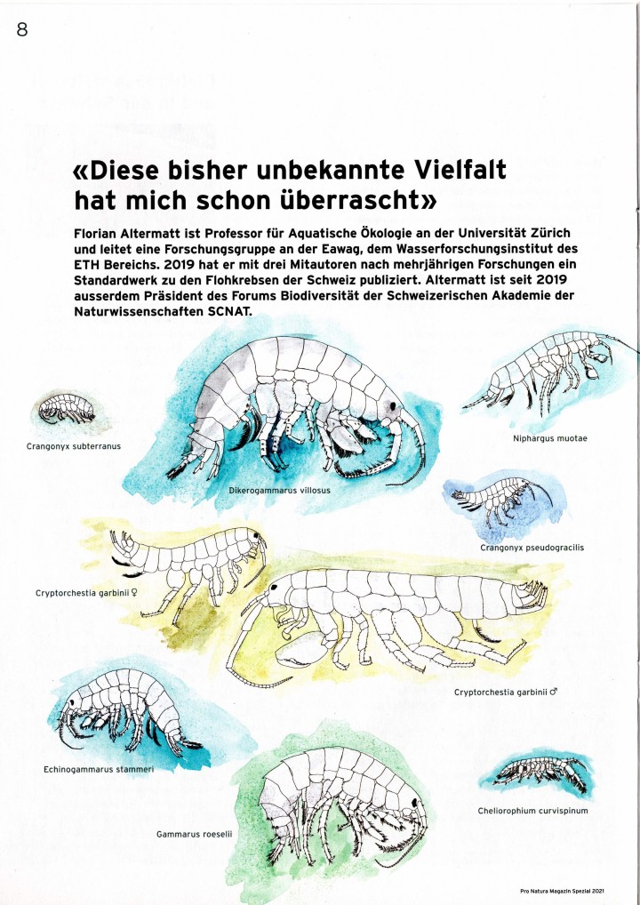 ProNaturaMagazin Vielfalt hat mich uberrascht ProfAltermatt 2021