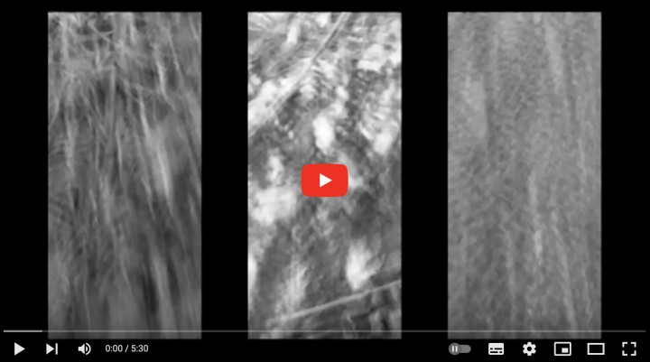 Screenshot Rad II Noel Schmidlin