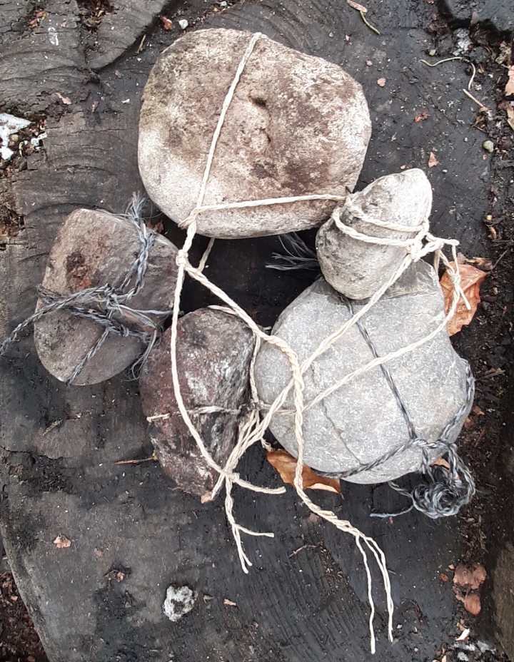 20210407 104328 crop