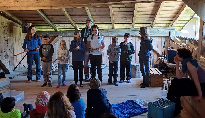 20230529 115517 crop ed