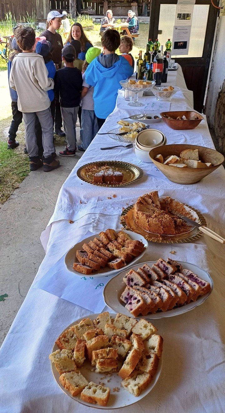 20230529 124940 crop ed