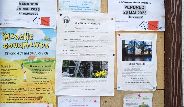 20230604 161854 crop