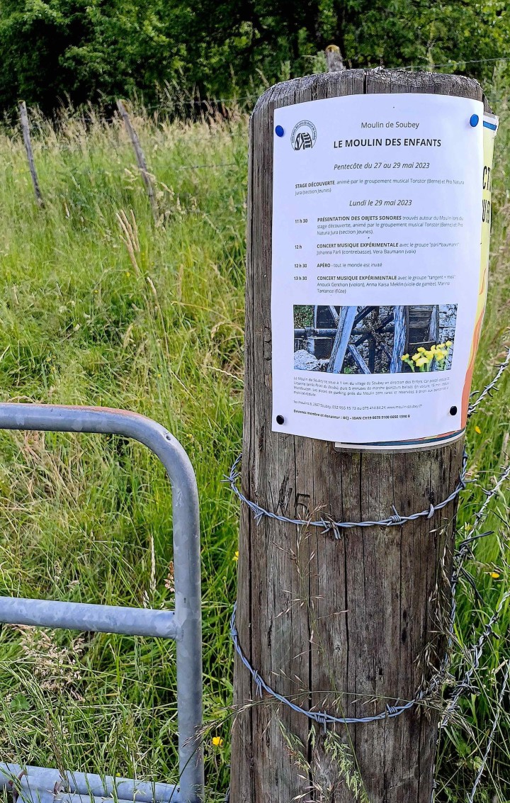 20230604 171247. crop ed