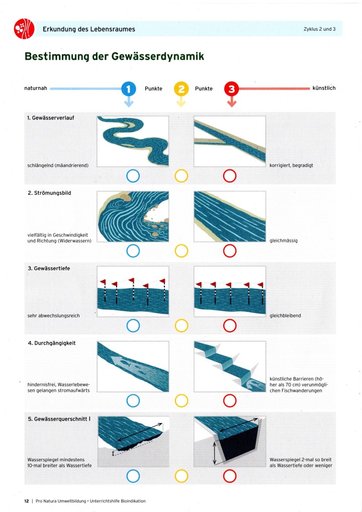 Pro Natura Magazin Bestimmung der Gewasserdynamik 2021