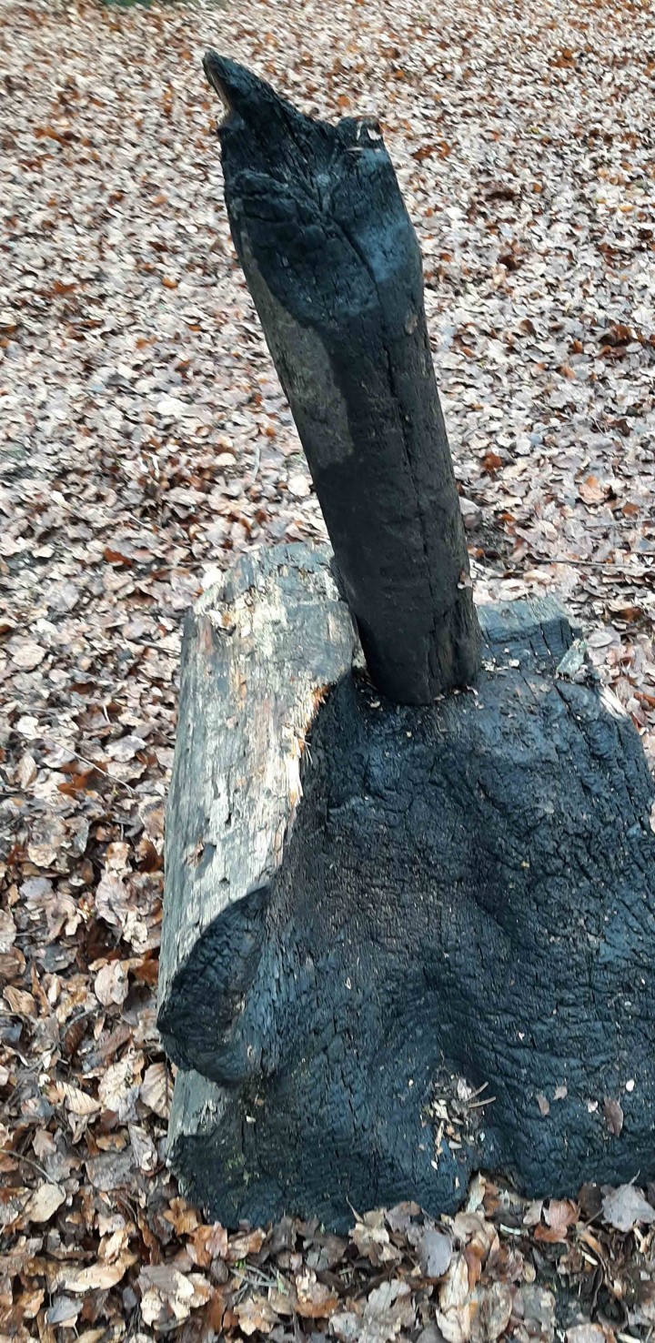 20210305 112902 cropped