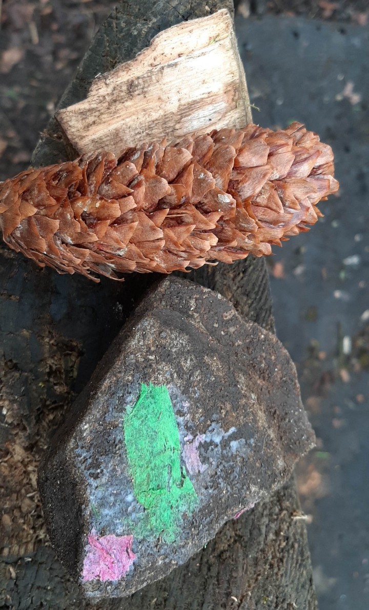 20210305 112950 crop