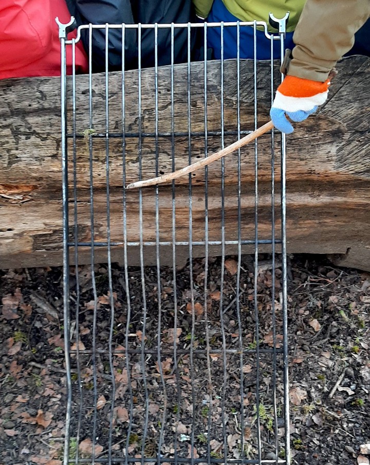 20210319 0901380 crop ed