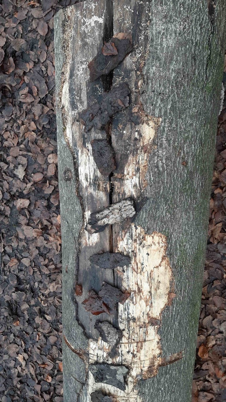 20221202 100531 turned