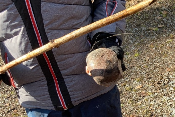 Foto 19.03.21 10 06 30 crop